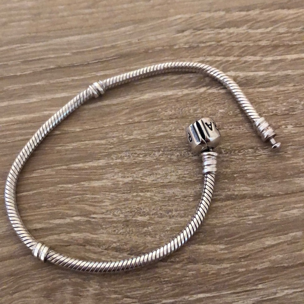 Pandora Moments Snake Chain Bracelet